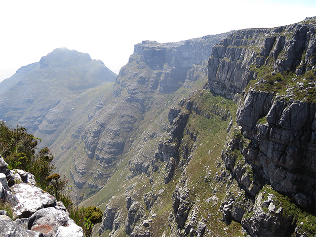 Views - Table Mountain, SA Photo by Ventures Birding Tours